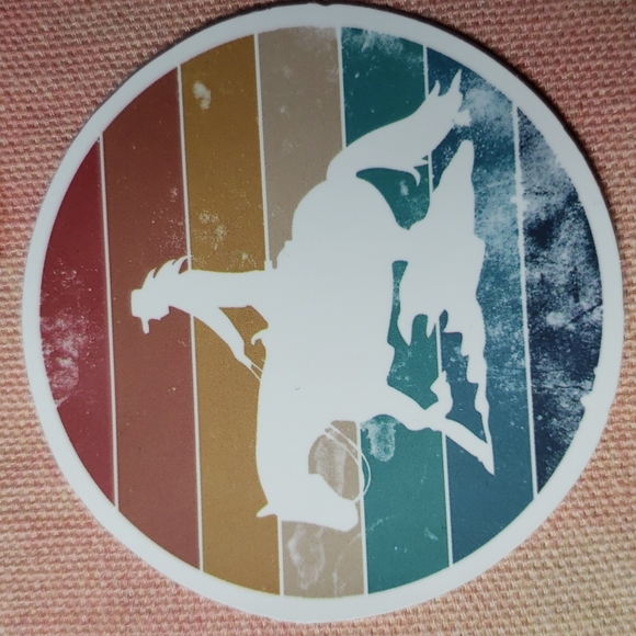(N) Cowgirl Sticker Pegantinas Vaqueras Rodeo Farmhouse Decor Horse Ranch - Picture 1 of 3